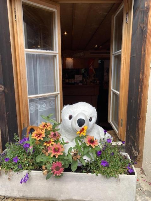 Auberge De L'Ours 威尔斯伊格里塞 外观 照片